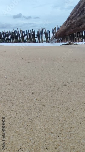 A sandy beach eroded by seawater and supported by wooden posts to protect it from the waves.