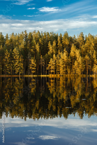 Autumn beautiful  pina forest and calm blue lake with reflections at sunset.	