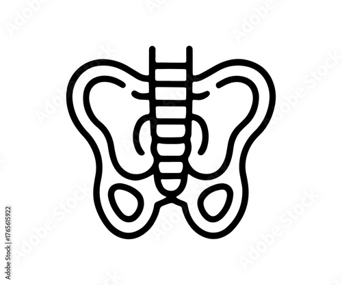 Line art illustration of the human pelvis and spine