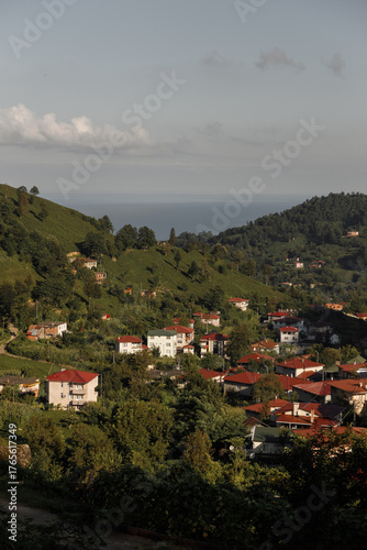 Scenic Hillside Village That Beautifully Overlooks the Majestic Ocean