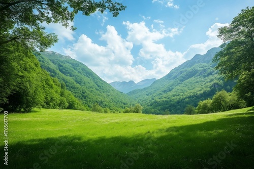 Wallpaper Mural Breathtaking wide-angle landscape of a lush green meadow in a mountain valley under a bright blue sky with white clouds. Serene and natural. Torontodigital.ca
