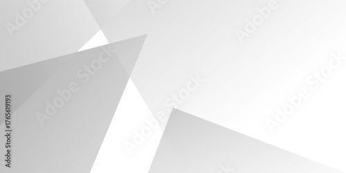 Abstract white and gray triangle shape vector background. texture white pattern