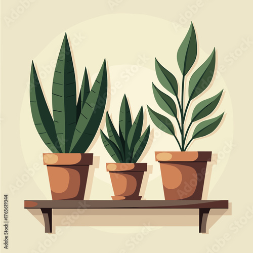 Three potted plants displayed on a shelf for home decor. Potted plants bring life to interior spaces, arranged symmetrically and styled with minimalist appeal, highlighting botanical aesthetics.