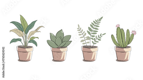 Hand drawn plants in pots. Peace lily, succulent, cactus, fern. Pastel marker sketch style