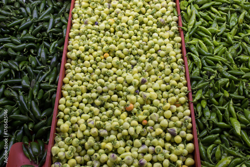 Rows of green chilies and pale peppers arranged in bins, full-frame variety; for food design, retail promotion, recipe content, education.
