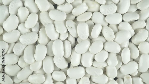 High Quality White Beans Source of Plant Protein.