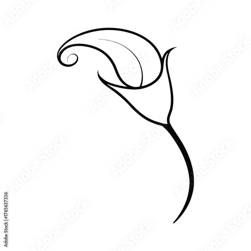 vector illustration of a lily