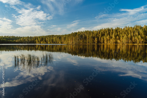 Autumn beautiful pine forest and calm blue lake with reflections at sunset