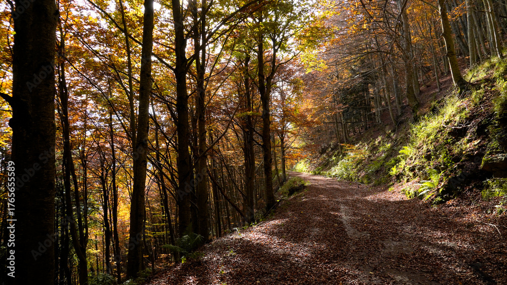 Fototapeta premium Autunno sull'Appennino emiliano. Panorami autunnali delle montagne bolognesi. Corno alle Sc ale. Bologna, Emilia-Romagna, Italia.