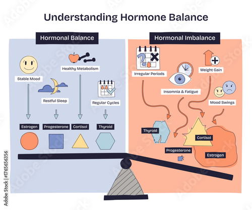 Hormone balance explained, a seesaw contrasts balance vs imbalance with estrogen, cortisol, and thyroid icons, showing mood, sleep, and cycle effects. Doodle style diagram