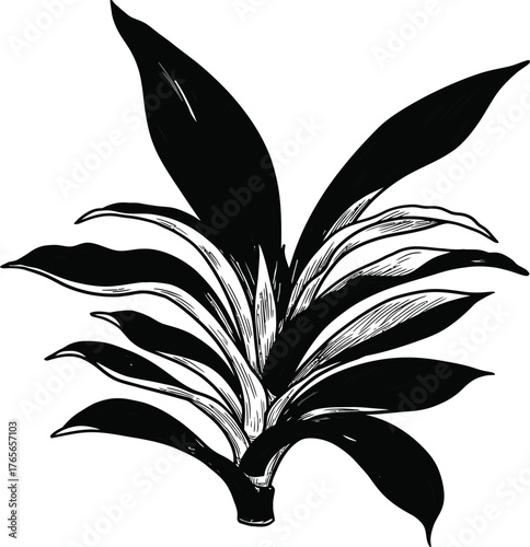 Vector art of handdrawn illustration of a tropical plant with long, pointed leaves, , perfect for botanical designs and patterns on a transparent background