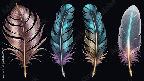 feather on black background