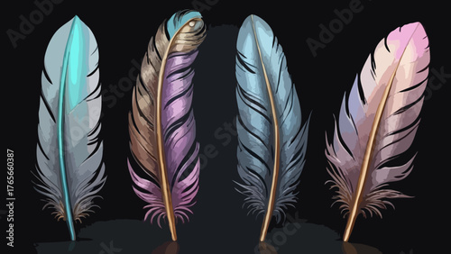 feather on a black background