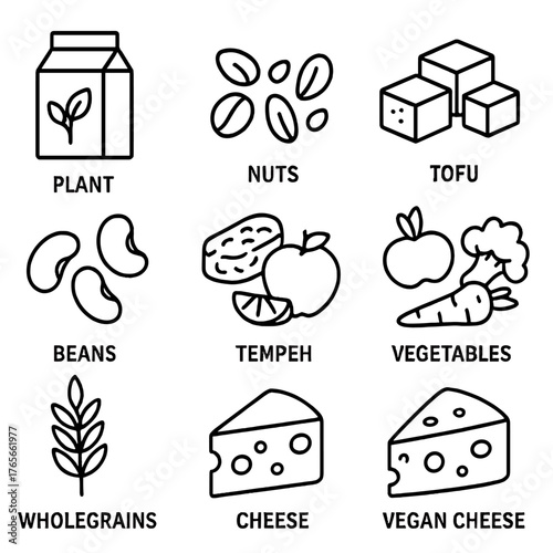 Vegan food linear icon set. featuring plant, nuts, tofu, beans, tempeh, vegetables, wholegrains, cheese, vegan cheese