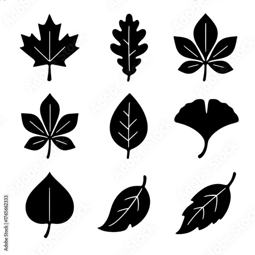 Nature silhouette icons set. featuring maple, oak, chestnut, linden, birch, ginkgo, elm, aspen, poplar leaves