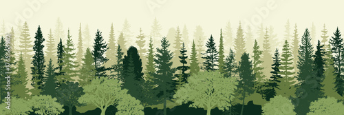 Forest and taiga in morning haze, misty forest, seamless border, panoramic view, vector illustration