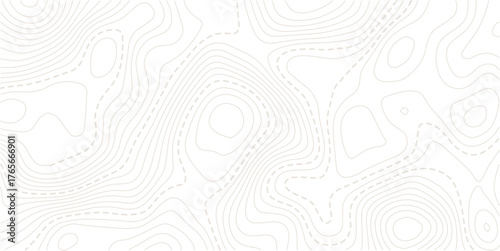 Seamless Light topographic topo contour map background, vector illustration .White wave paper curved reliefs abstract background. Vector illustration.. Design illustration for wall art, fabric.