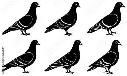 Six elegant black pigeons stand side by side, showcasing detailed feather patterns, perfect for urban design and nature themes.