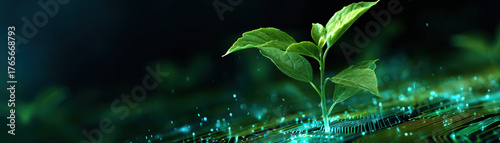 Bioenergy plant development...