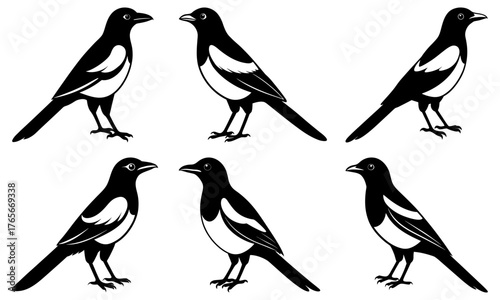 Elegant black and white magpie silhouettes flying in formation, a modern design element for nature lovers and birdwatching enthusiasts with vector origins