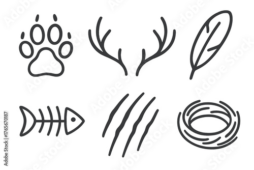 Wildlife and Nature elements including Paw Print, Antlers, Feather, Fish Skeleton, Claw Marks, and Bird Nest
