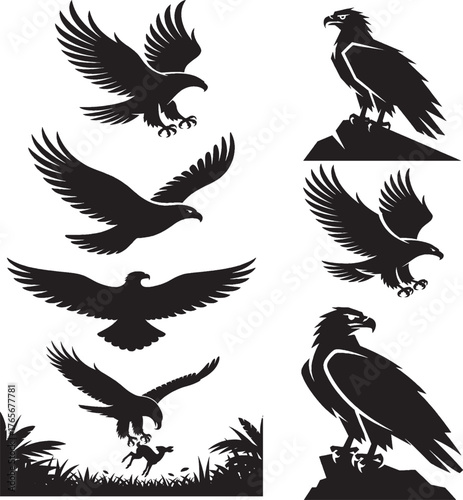 Eagle falcon bird hunting silhouette