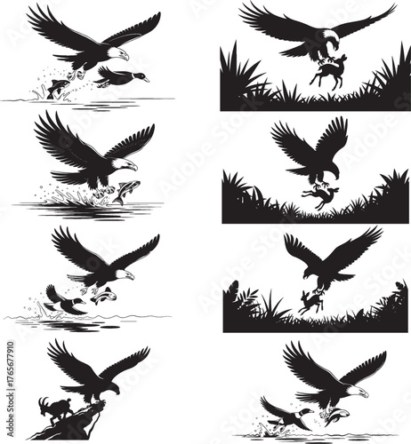 Eagle falcon bird hunting silhouette