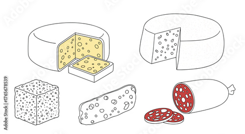 Variety of cheese and salami food illustration.