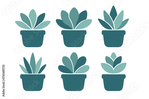Collection of six potted succulent plants in various minimalist flat design styles