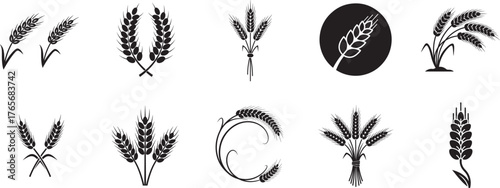 Wheat ear silhouette vector set of grain spike icons for farm, harvest, bakery, organic agriculture and cereal design