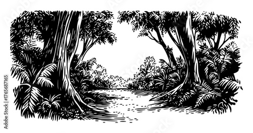 tropical jungle pathway forest landscape illustration