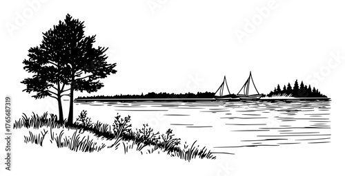 lakeshore scene with sailing boats and solitary tree illustration