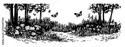 forest glade with path flowers and butterflies sketch