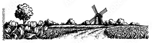 dutch landscape with windmill and tulip field sketch