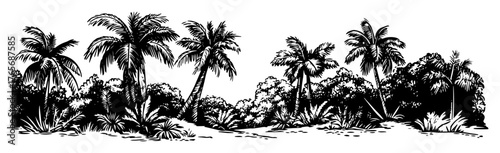 tropical beach with palm trees panoramic sketch
