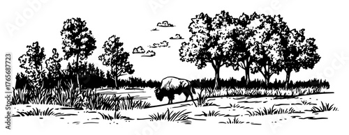 pastoral meadow with grazing cow countryside scene