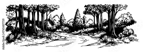 winding dirt road through a dense forest sketch