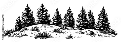small pine grove on grassy hill landscape illustration