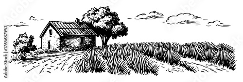 rustic farmhouse with crop field countryside illustration
