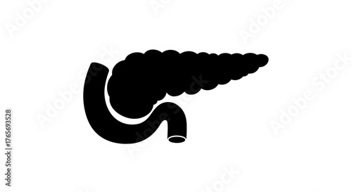 Pancreas Anatomy Illustration A Detailed Medical Diagram.