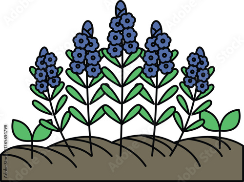 A drawing of a field of flowers with a black and white color scheme