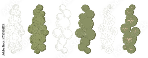 Trees for urban planning and architectural plans. Outline vector for landscape design and exterior entourage.