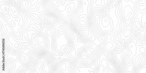 Abstract curve grid map and topo contour map white background. Topo contour map on white background, Topographic contour lines vector map seamless pattern. Geometric stiped line grid map Topography.
