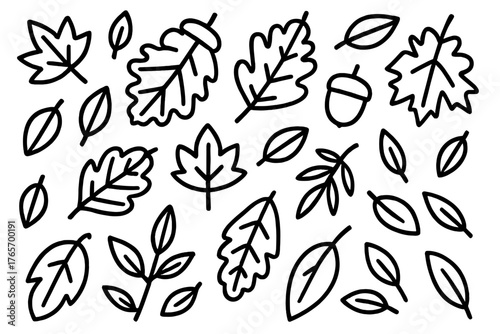 Set of hand drawn doodle style autumn leaves and acorn isolated on white background