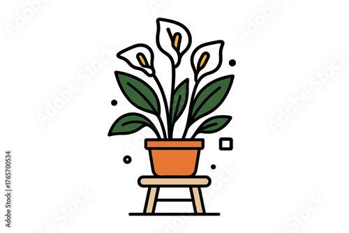 Potted Calla Lily houseplant with green leaves and white flowers on a wooden stool