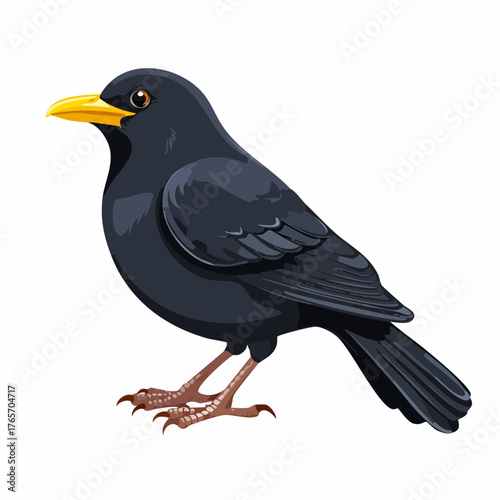 Amsel