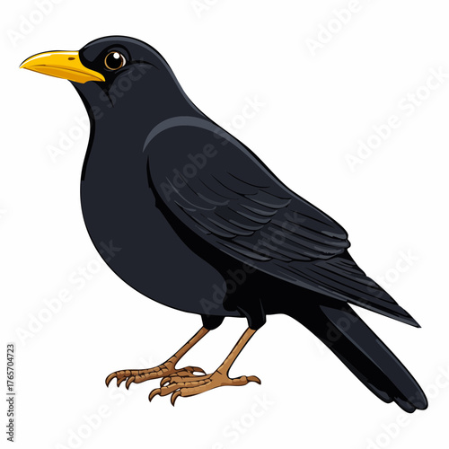 Amsel