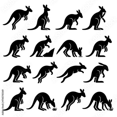 Kangaroo Silhouette Icons. Kangaroo Movement and Behavior icons in silhouette. Hopping kangaroo, standing alert, resting pose, grooming, boxing