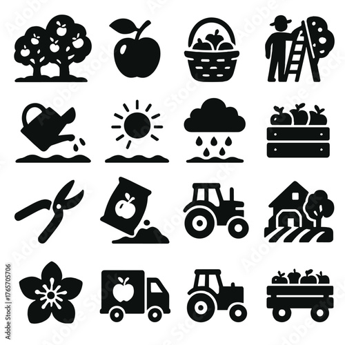 Apple Farming Icons. Apple growth and harvesting icons in silhouette. Apple orchard, apple tree branch, picking basket, harvesting ladder, farmer