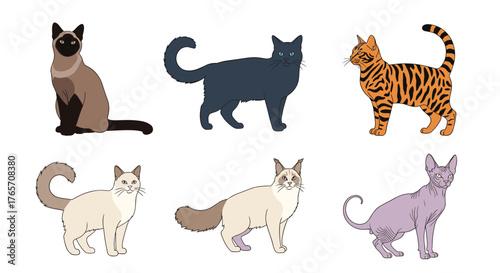 Diverse Collection of Cat Breeds - Siamese, Black, Bengal, and More.
